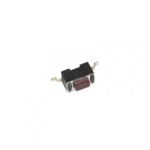 2 Pinli 6x3.5x1mm Buton