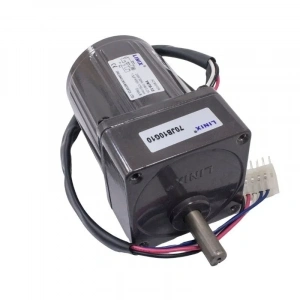 70mm 220V 125 RPM AC Motor YN70-15