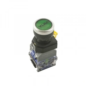 Anahtarlı Push Buton 6V Yeşil Işıklı YJ139-LA38