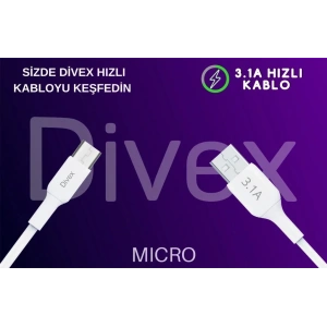 Divex 3.1A Micro USB Hızlı Şarj Data Kablosu 1 metre DC-110
