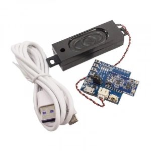 HLK-V40 Ses Sentezi Modülü Hoparlör+Mikrofon Test Kit