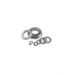 M5 DIN9021 Pul Beyaz Inox A2