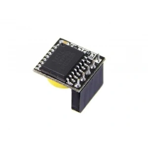 Raspberry Pi RTC Modülü