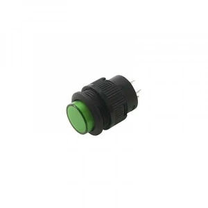 RL16-503B 16MM Plastik 2 Pin Yaylı Buton Yeşil