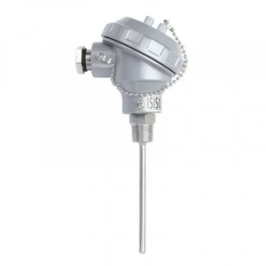 TRPT-231-6-100-1/2 - 100 mm PT-100 Kafalı Tip Termokupl