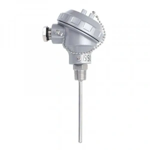 TRPT-231-6-450-1/2 - 450 mm PT-100 Kafalı Tip Termokupl