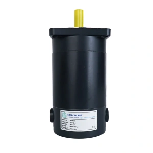 ZYT-90 24V 350W 3000Rpm DC Motor