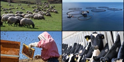 HAYVANCILIKLA İLGİLİ DESTEKLEME MİKTARLARINDA ARTIŞA GİDİLDİ