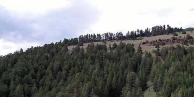 İKİ KENTTE ALARM! ORMANLIK ALANA GİRİŞLER YASAKLANACAK!