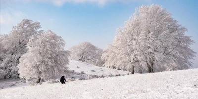 ISTIRANCA ORMANLARI KARLA KAPLANINCA ORTAYA KARTPOSTALLIK GÖRÜNTÜLER ÇIKTI