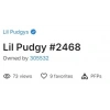 Lil Pudgy #2468