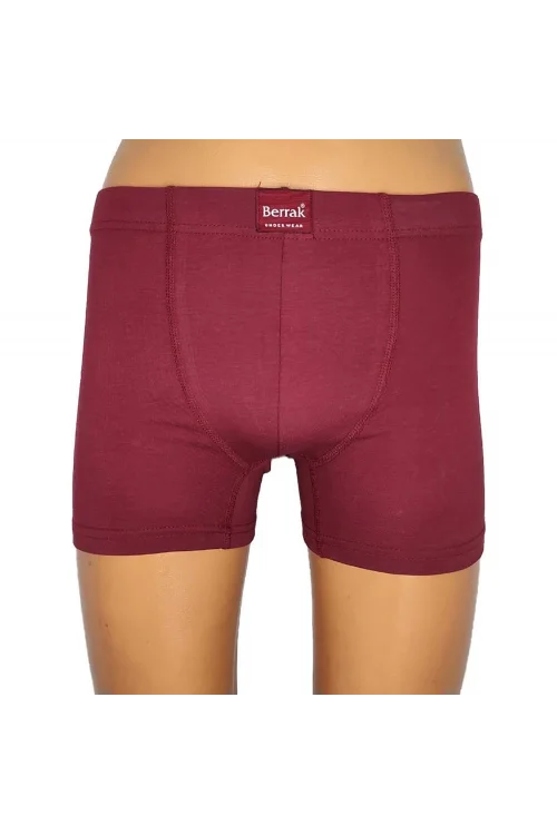 Berrak 4498 Erkek Büyük Beden Renkli Boxer