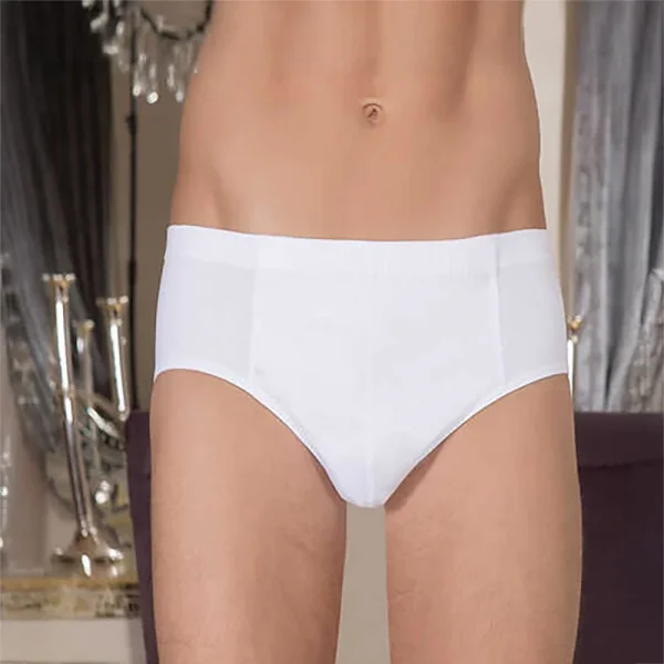 Berrak 1050 Erkek Büyük Beden Kom Slip Külot 3XL