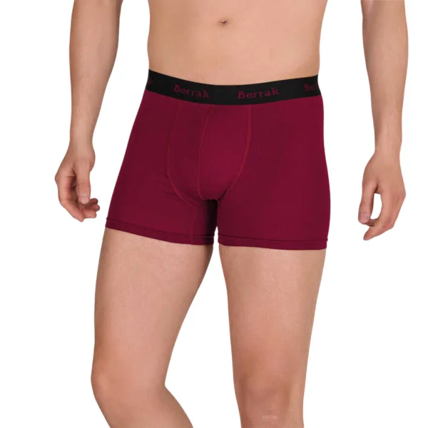 Berrak 4476 Modal Likralı Esnek Erkek Boxer