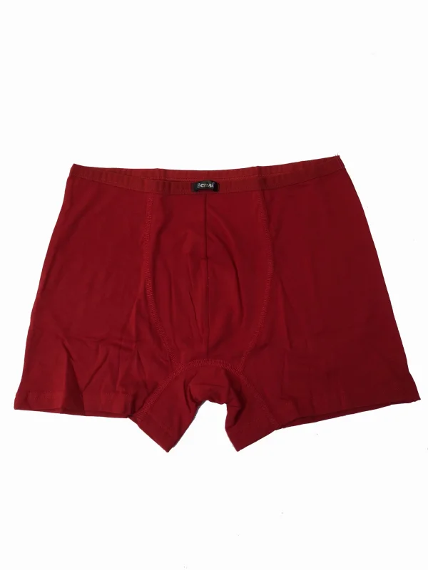 Berrak 4488 Modal Erkek Boxer
