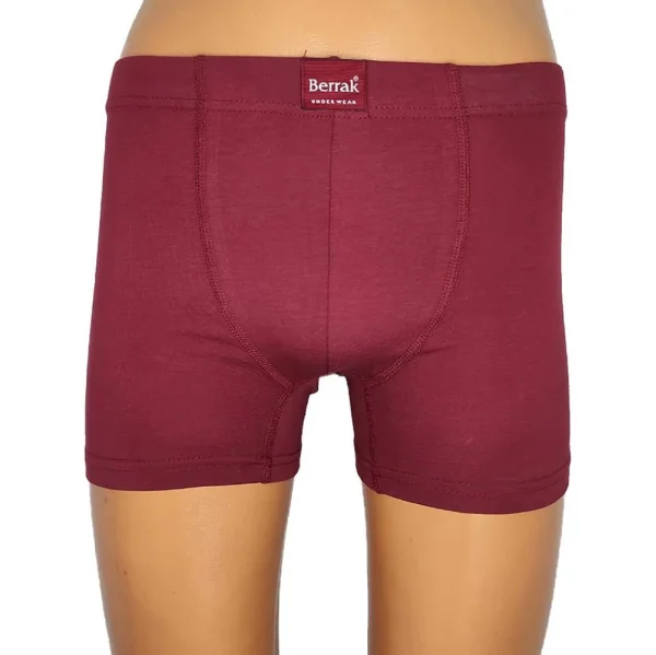 Berrak 4498 Erkek Büyük Beden Renkli Boxer