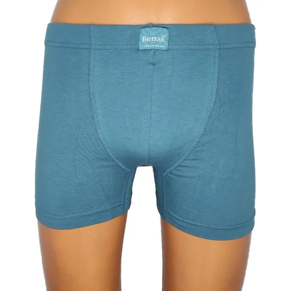 Berrak 4498 Erkek Büyük Beden Renkli Boxer