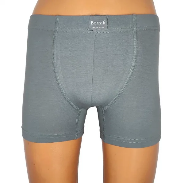Berrak 4498 Erkek Büyük Beden Renkli Boxer