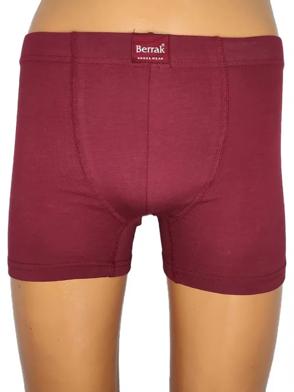 Berrak 4498 Erkek Renkli Boxer