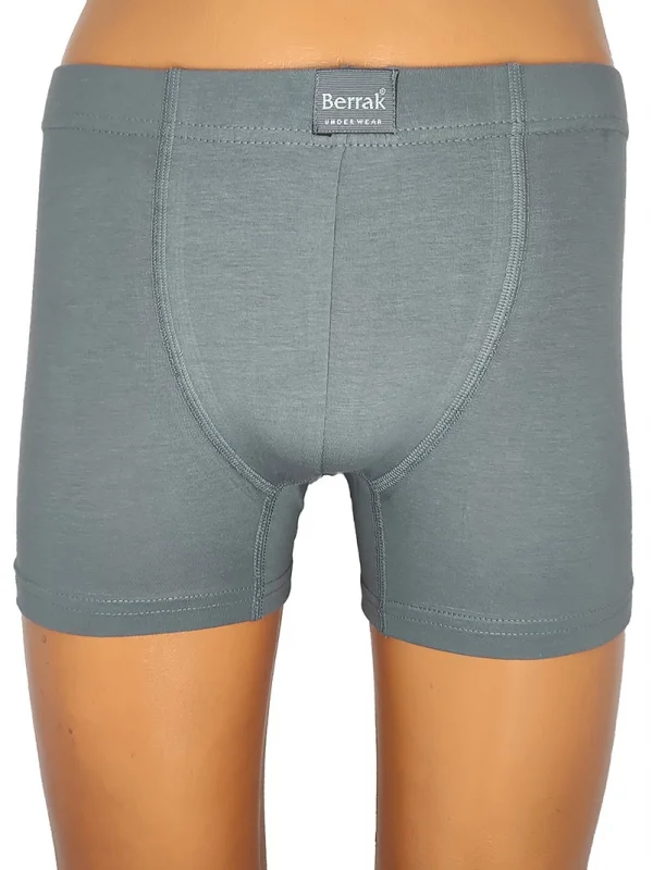 Berrak 4498 Erkek Renkli Boxer