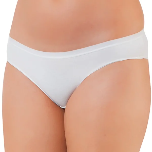 Elegant 2850 Kadın Bambu Bikini Külot 4lü Paket