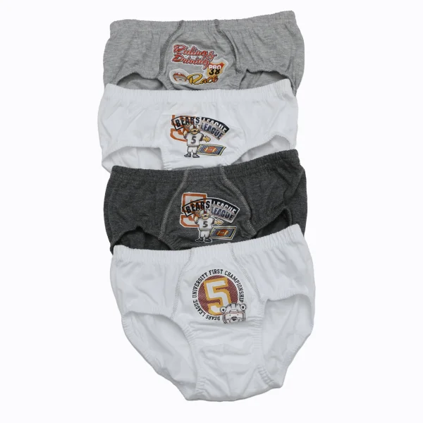 Öztaş 3116 Erkek Çocuk Slip Külot 4lü Paket