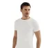 Şahinler ME025 Sporcu O-Yaka Kısa Kol Atlet No:56 (XL)