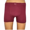 Berrak 4498 Erkek Büyük Beden Renkli Boxer