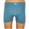 Berrak 4498 Erkek Büyük Beden Renkli Boxer