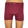 Berrak 4498 Erkek Renkli Boxer