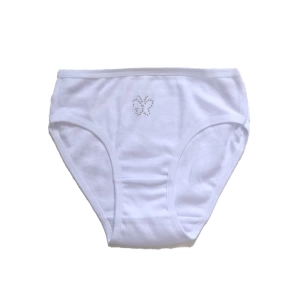 Şahinler BC097  Taşlı Kız Çocuk Külot %100 Pamuk