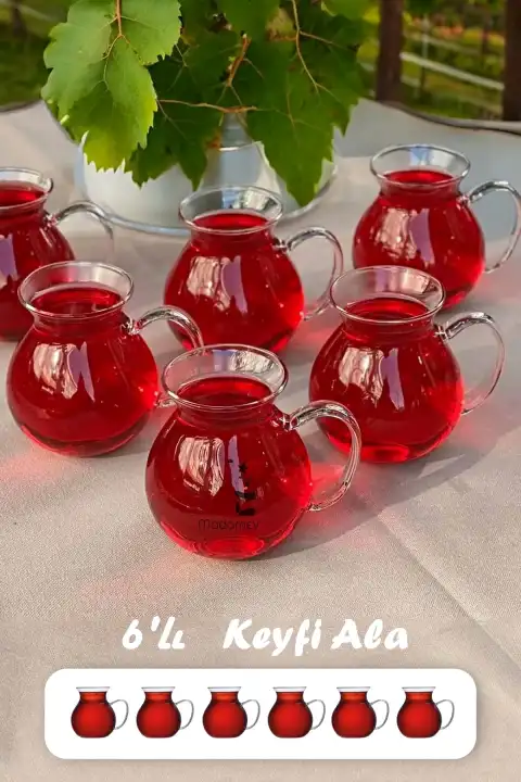 6lı Keyfi Ala Borosilikat Cam Bardak Takımı Isıya Dayanıklı Kulplu Çay Fincanı Bardağı Seti