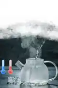 Bambu Kapaklı Limon Figürlü Demlik Borosilikat Cam Sürahi Çelik Süzgeçli Bitki Çayı Çaydanlık 1 lt. - Görsel 5