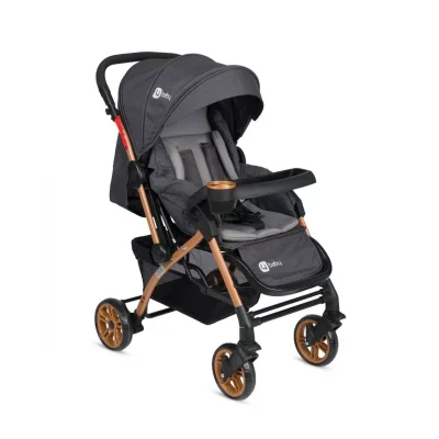 4 Baby Active Gold Çift Yönlü Bebek Arabası Antrasit