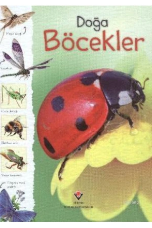 Doğa - Böcekler