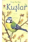 Doğa Kartları - Kuşlar