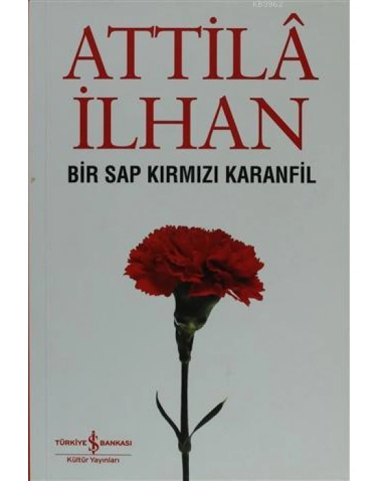 Bir Sap Kırmızı Karanfil Cumhuriyet Söyleşileri (Eylül 96 - Mart 97)