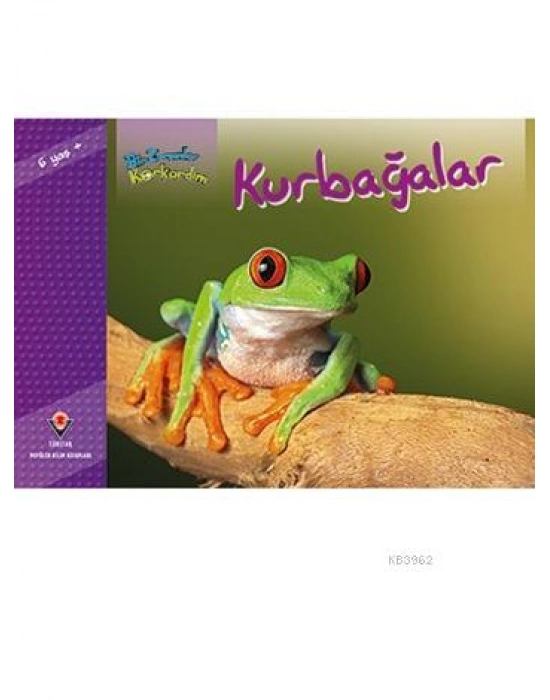 Bir Zamanlar Korkardım - Kurbağalar