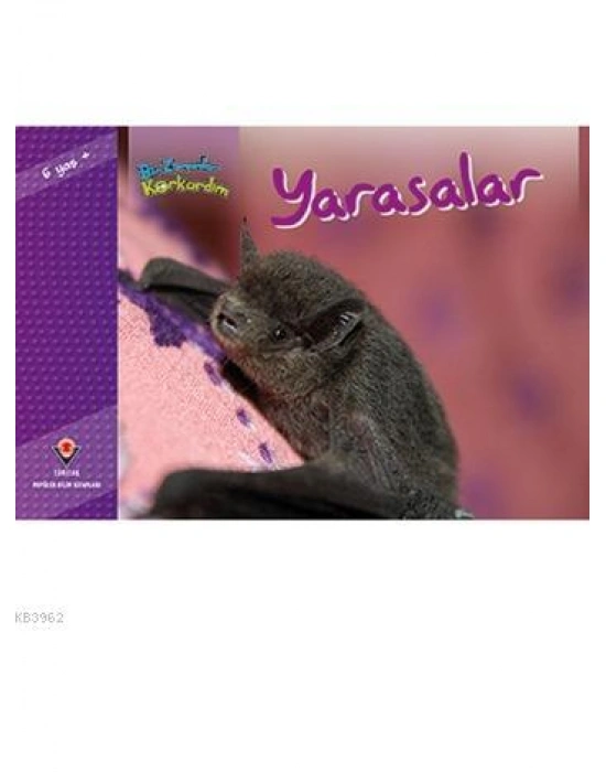 Bir Zamanlar Korkardım - Yarasalar