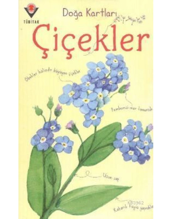 Doğa Kartları - Çiçekler