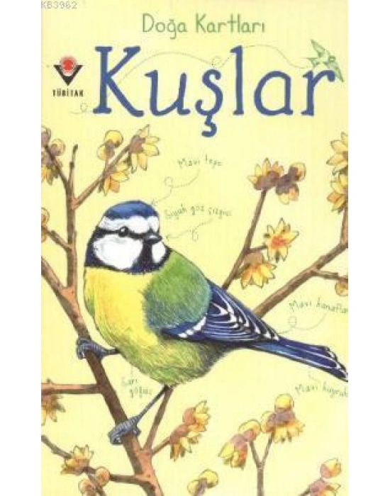 Doğa Kartları - Kuşlar