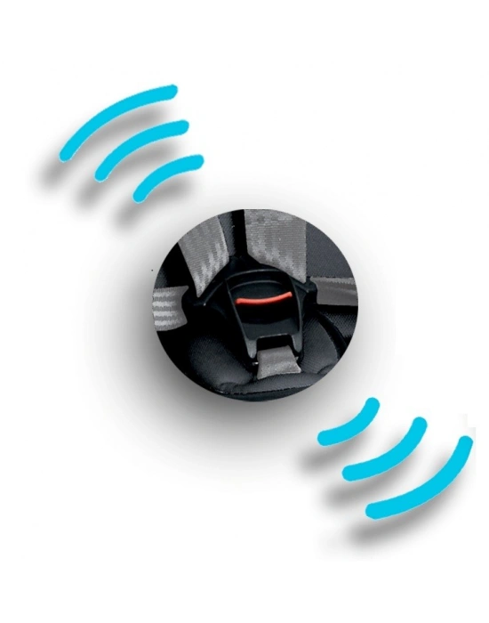 Ferrari Cosmo Isofix 9-25 Kg Oto Koltuğu - Nero