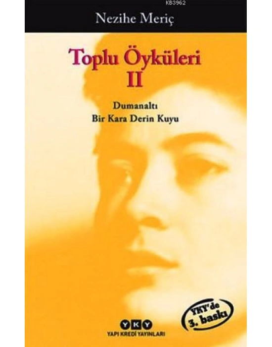 Toplu Öyküleri 2; Bütün Yapıtlarına Doğru