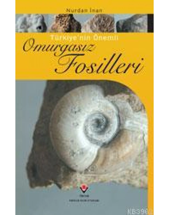 Türkiye´nin Önemli Omurgasız Fosilleri