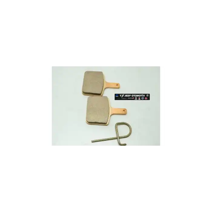 Polaris Snowmobile Fren Balatası 2202727