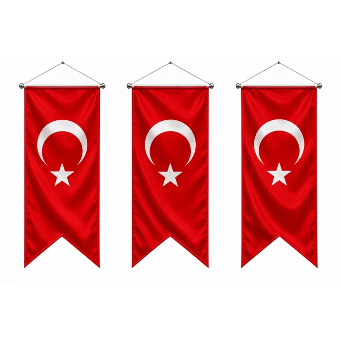 Kırlangıç Türk Bayrak