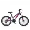 Mosso Wildfire Lady 20 Jant V Fren Kız Çocuk Bisikleti Antrasit-Pembe