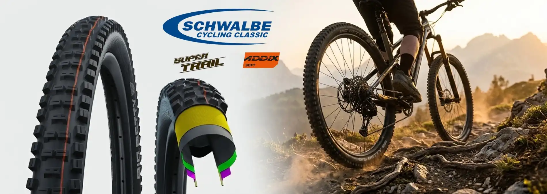 schwalbe