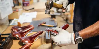 Brooks Selelerin Tarihçesi ve Genel Özellikleri