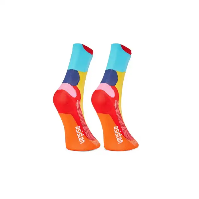 Asistan Cape So 30 Bisiklet Çorabı Multicolor